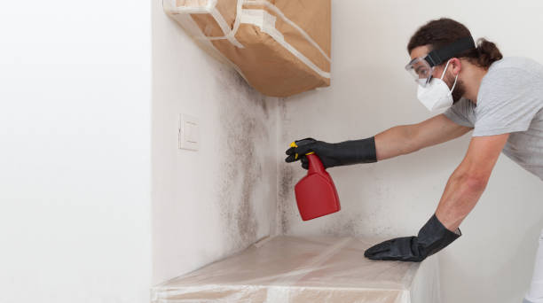 Professional Bathroom Mold Removal technician working in Bellwood, IL